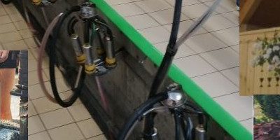 Obisk kmetije Pr’ Mikvau