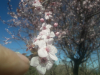 20180313_102913